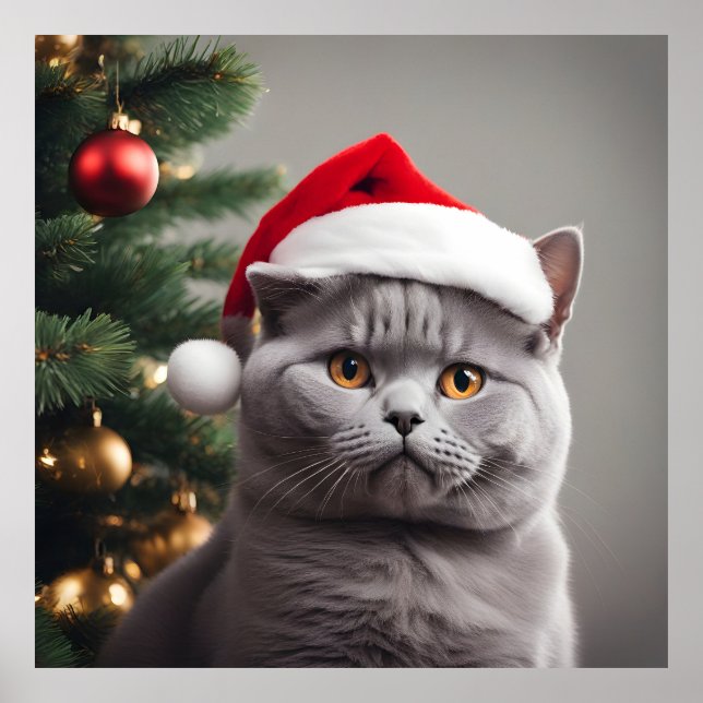 British Shorthair Christmas Poster (Vorne)