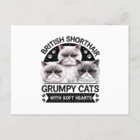 British Shorthair Grumpy Cats