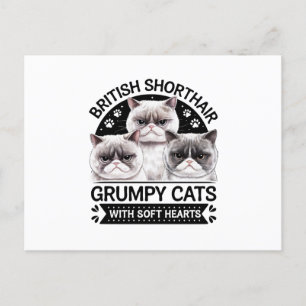 British Shorthair Grumpy Cats Postkarte