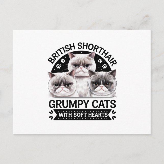 British Shorthair Grumpy Cats Postkarte (Vorderseite)
