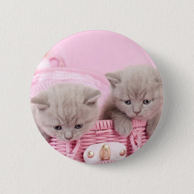 British Shorthair Kittens Button (Vorderseite)