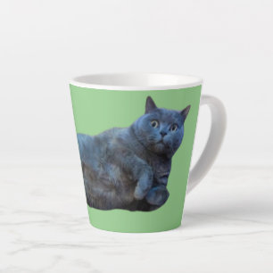 British Shorthair Kitty Cat Lay auf Seite Milchtasse