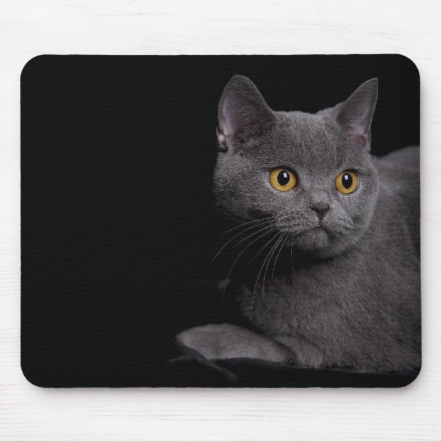 British Shorthair Mousepad (Vorne)