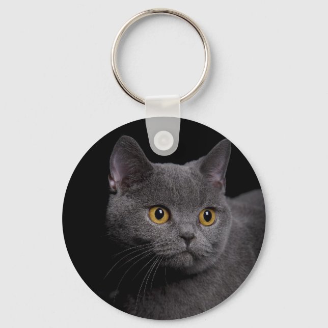 British Shorthair Schlüsselanhänger (Vorderseite)