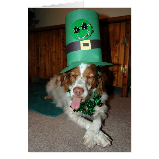 BRITNEY O'STOCK (Vorne)