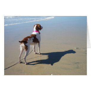BRITTANIE AM STRAND
