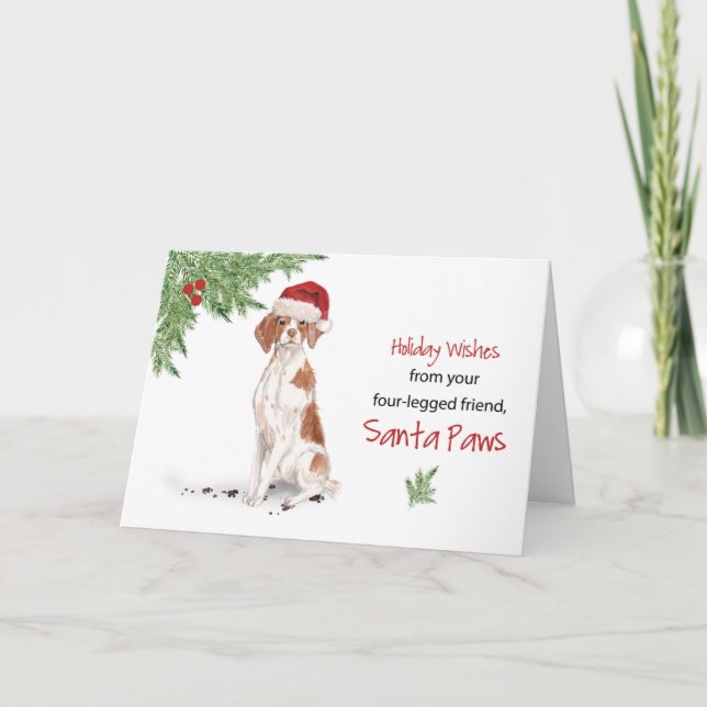 Brittany Christmas From Dog in Funny Santa Hat Karte (Vorderseite)