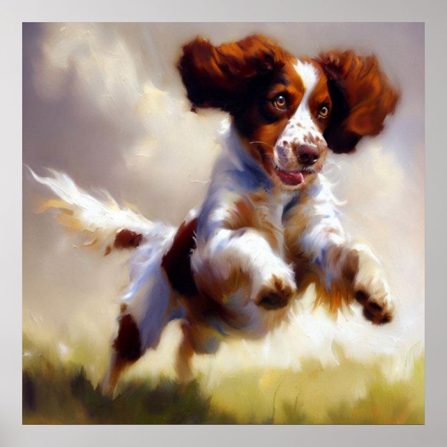 Brittany Dog Poster (Vorne)