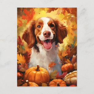 Brittany-Hund Herbst Thanksgiving  Postkarte