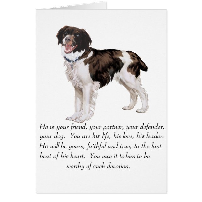 Brittany Keepake - Männlicher Hund (Vorne)