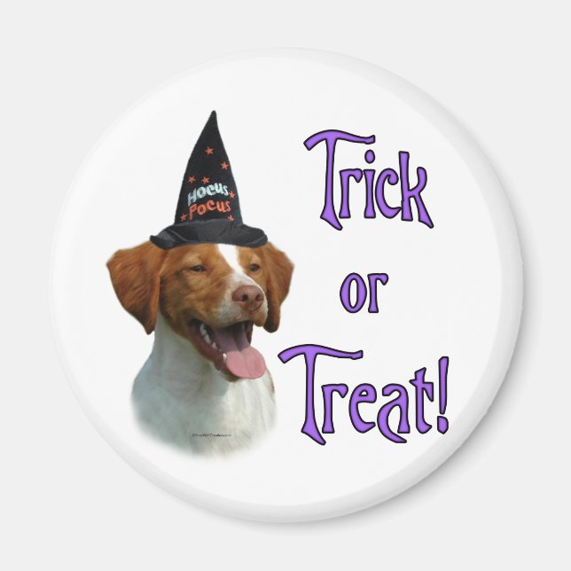 Brittany Spanel Trick Magnet (Vorne)