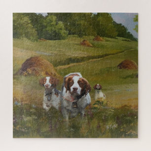 Brittany Spaniel