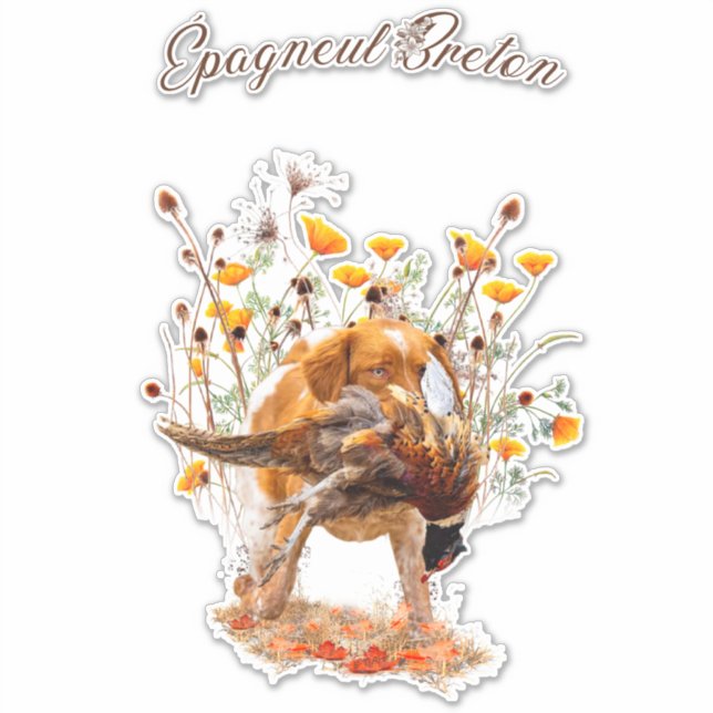 Brittany Spaniel, Chasse Sticker Pheasant (Devant)