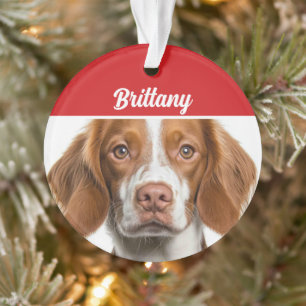 Brittany Spaniel Dog Holiday Foto Weihnachten Ornament