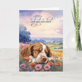 Brittany Spaniel Dog Wildflowers Miss You Karte