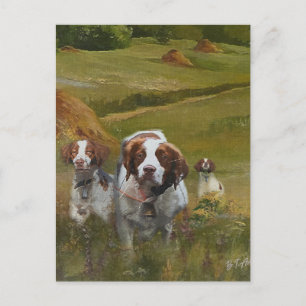 Brittany Spaniel Einladungspostkarte