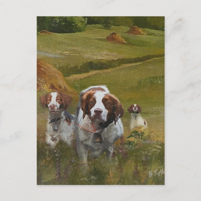 Brittany Spaniel Einladungspostkarte (Vorderseite)