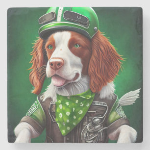 Brittany Spaniel fährt Fahrrad am St. Patrick's Da Steinuntersetzer