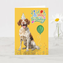 Brittany Spaniel Hund Partyhut Gelb Geburtstag