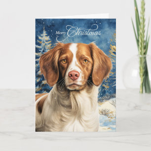 Brittany Spaniel Hund Wald Weihnachten