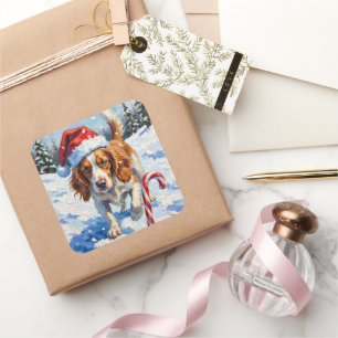 Brittany Spaniel Hund zeigt auf Weihnachtsbonbon Quadratischer Aufkleber
