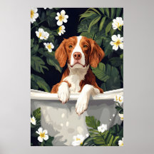 Brittany Spaniel im Badewannenposter, lustiger Hun
