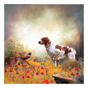 Brittany Spaniel, Jagdparasant Fotodruck