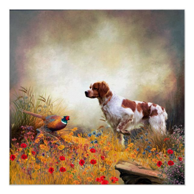 Brittany Spaniel, Jagdparasant Poster (Vorderseite)