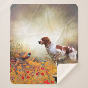 Brittany Spaniel, Jagdparasant Sherpadecke