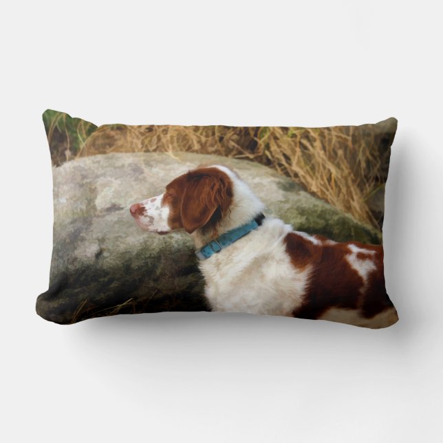 Brittany Spaniel - Kupfer Lendenkissen (Vorderseite)