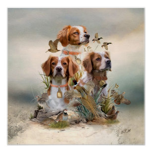 Brittany Spaniel , Leidenschaft für Vögel Poster