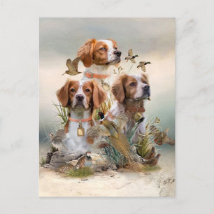 Brittany Spaniel , Leidenschaft für Vögel Postkarte