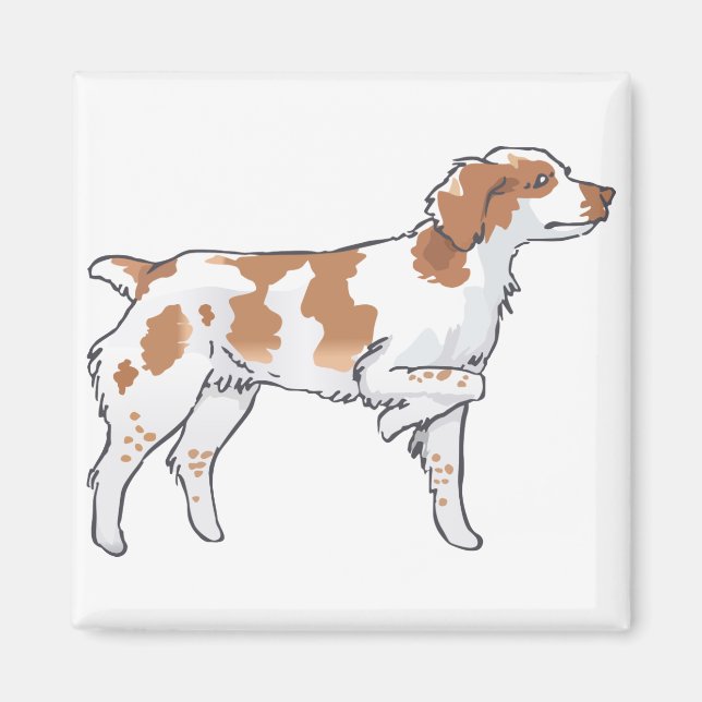 Brittany Spaniel Magnet (Vorne)