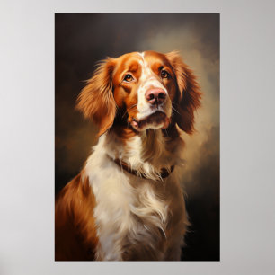 Brittany Spaniel Poster