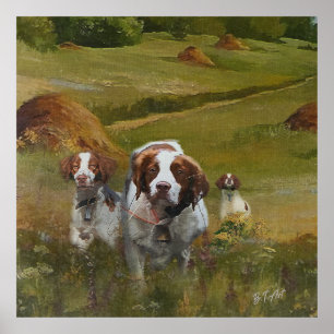 Brittany Spaniel Poster