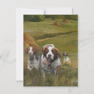 Brittany Spaniel Postkarte