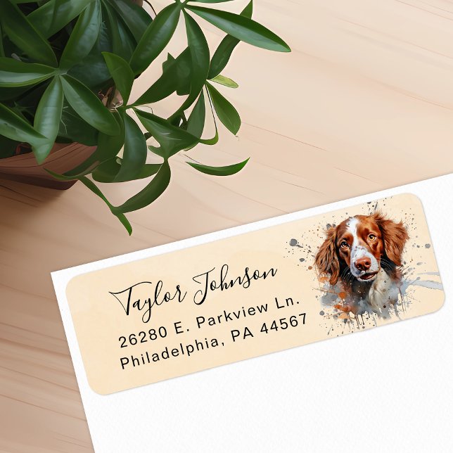 Brittany Spaniel Rücksendeadresse Label (Von Creator hochgeladen)