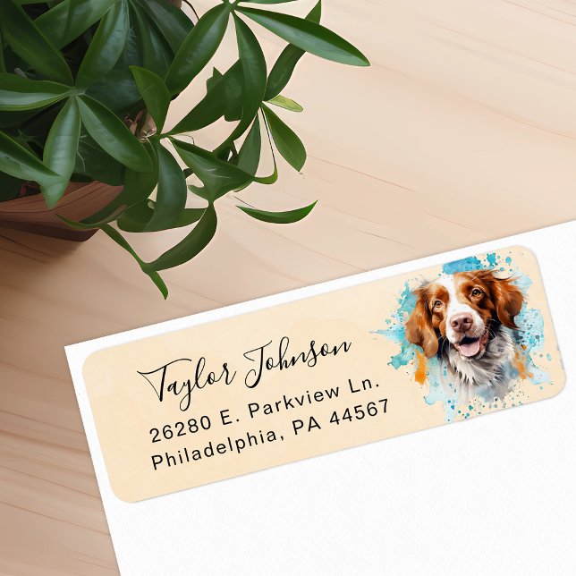 Brittany Spaniel Rücksendeadresse Label (Von Creator hochgeladen)