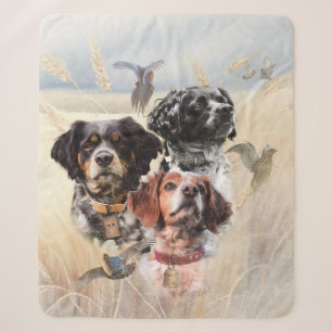 Brittany Spaniel Sherpadecke