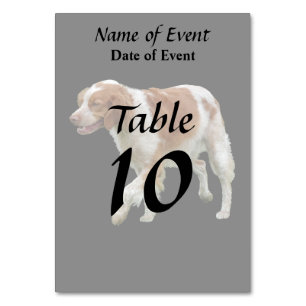 Brittany Spaniel Tischnummer