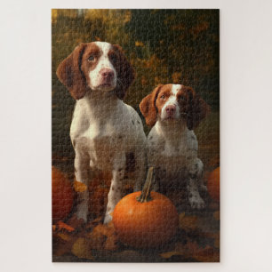 Brittany Spaniel Welpe Herbstfreude Kürbis 
