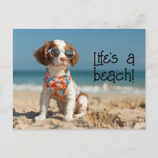 Brittany Spaniel Welpe mit Sonnenbrille Postkarte