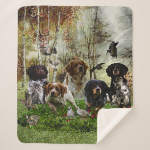 Brittany Spaniels,   Vogeljagd      Sherpadecke