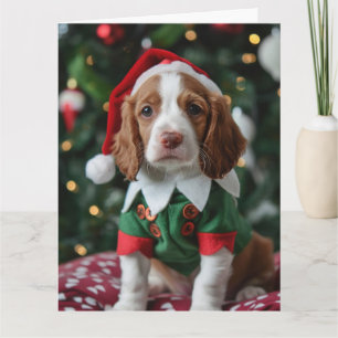 Brittany Spanisch Elf Welpe Weihnachtskarte Karte