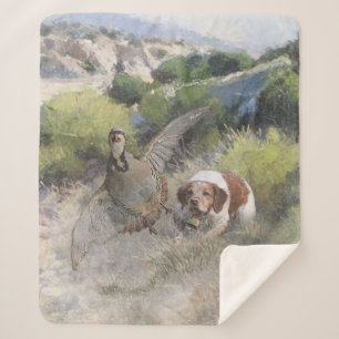 Brittany Spanisch Jagdchukar-Partridge, Art Sherpadecke