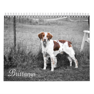 Brittanys Kalender