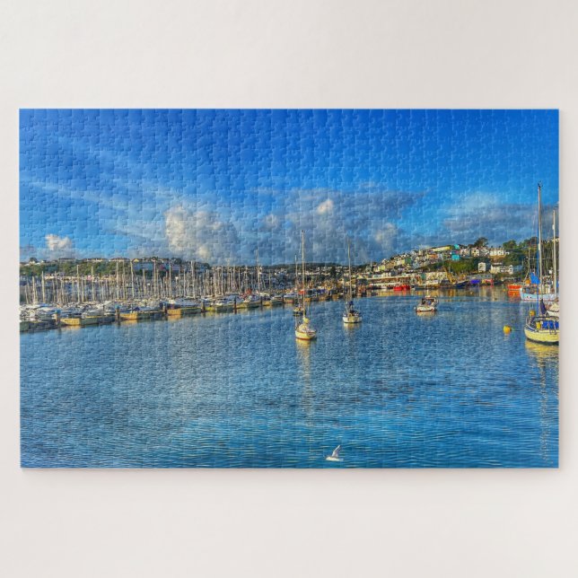 Brixham Marina: Sunny Devon Harbor & Seagull View (Horizontal)