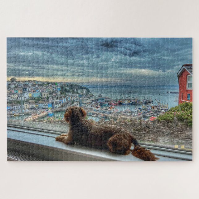 Brixham Rain: Cozy Harbor View & Puppy Friend (Horizontal)