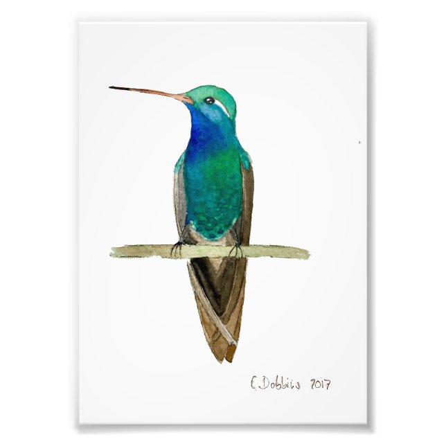 Broad-billed Hummingbird Fotodruck (Vorne)