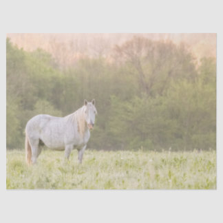 Broadfoot Mare Seidenpapier